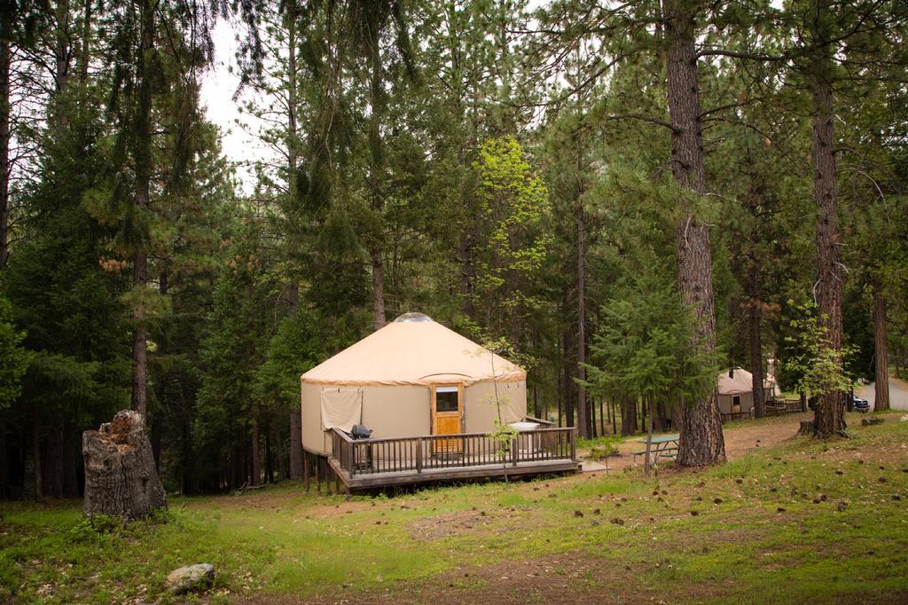Yosemite Lakes Hillside Yurt 1 Harden Flat المظهر الخارجي الصورة