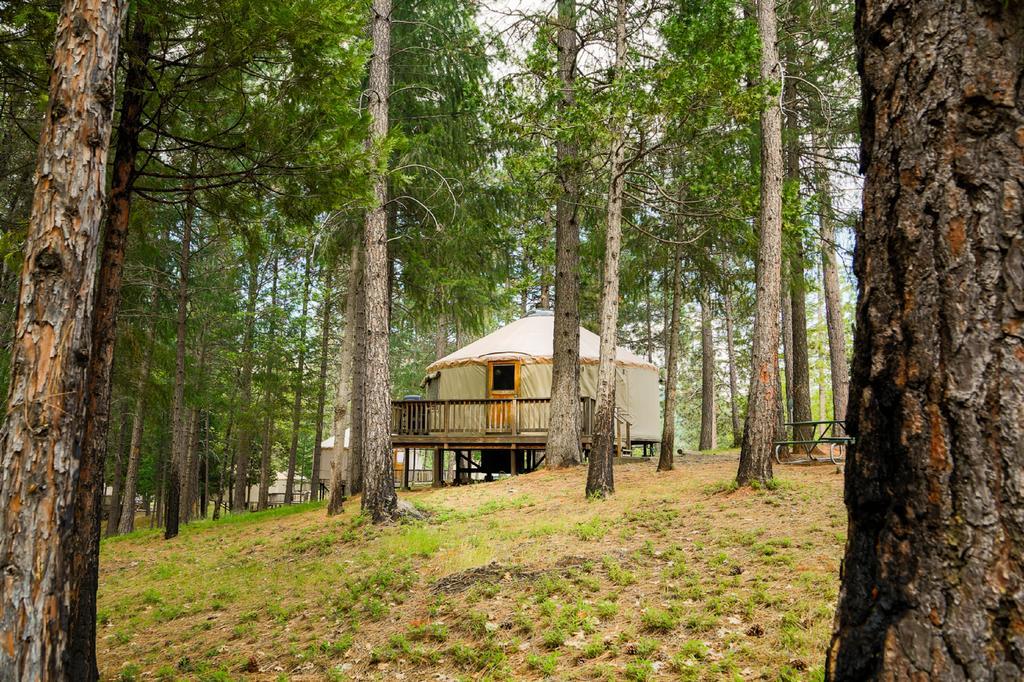 Yosemite Lakes Hillside Yurt 1 Harden Flat المظهر الخارجي الصورة