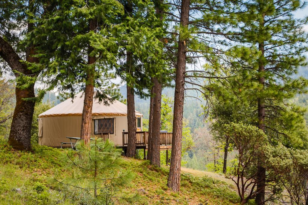 Yosemite Lakes Hillside Yurt 1 Harden Flat المظهر الخارجي الصورة